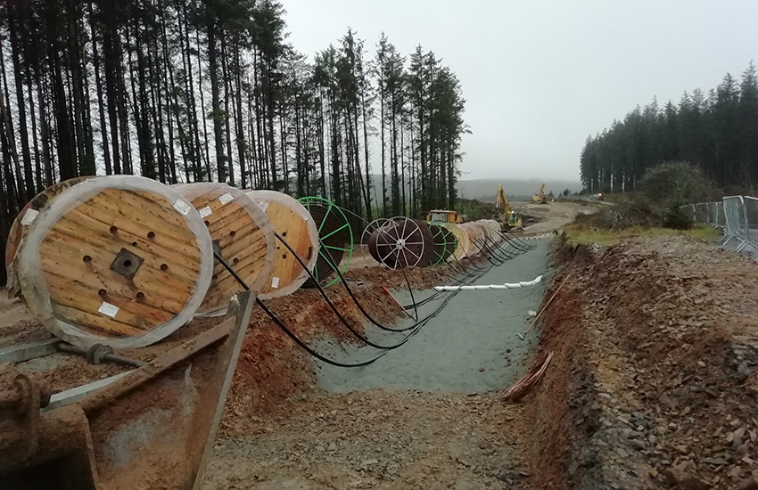Clocaenog-004